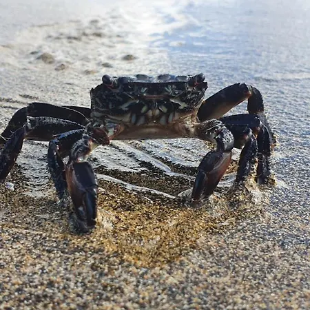 شقة San Francisco 407 *