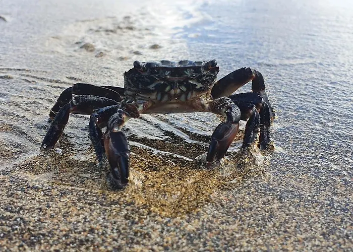 شقة San Francisco 407 *